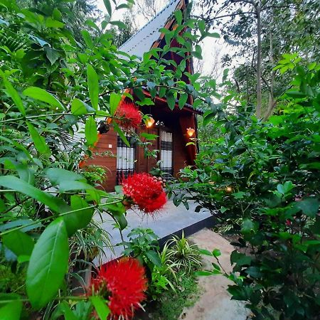The Otunna Guest House Σιγκιρίγια Εξωτερικό φωτογραφία
