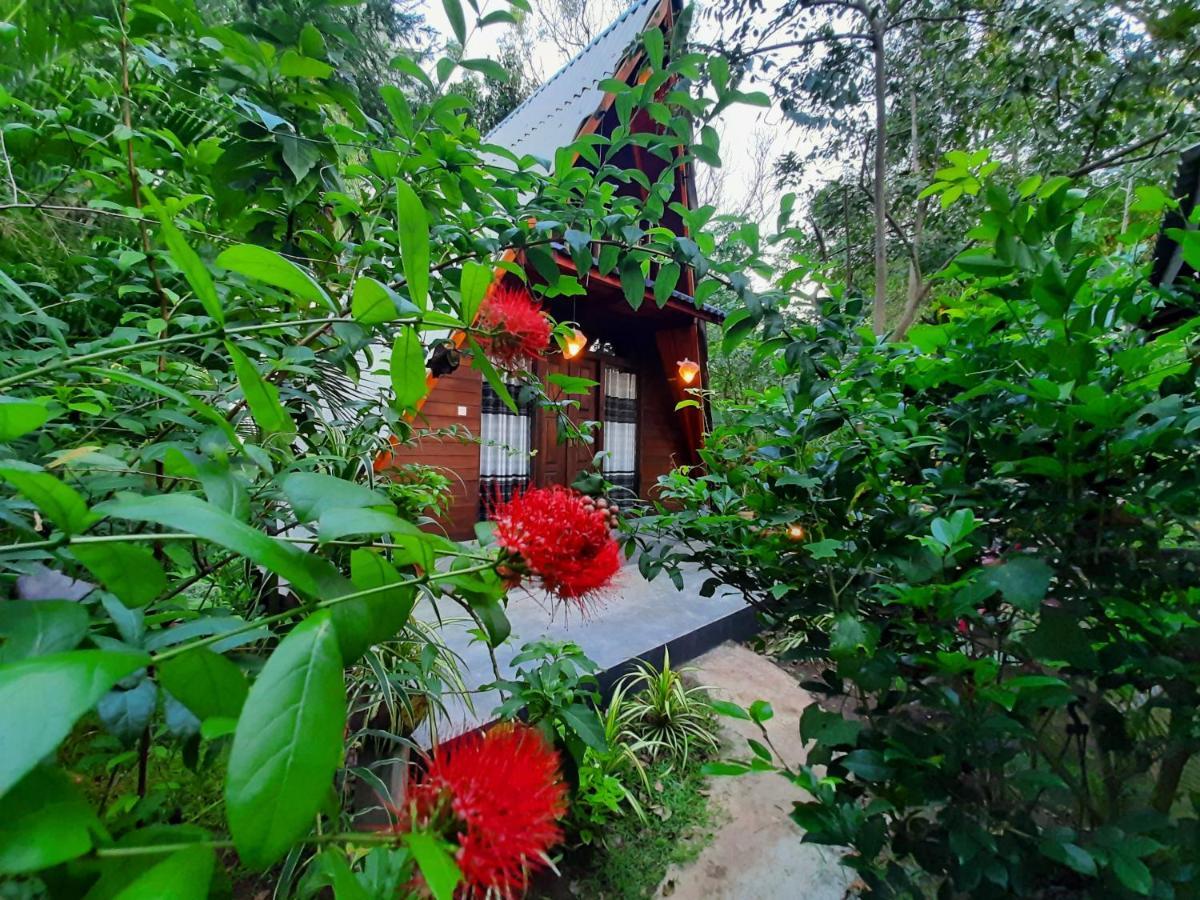 The Otunna Guest House Σιγκιρίγια Εξωτερικό φωτογραφία